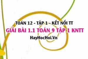 Bài 1.1 Toán 12 tập 1 SGK Kết nối tri thức